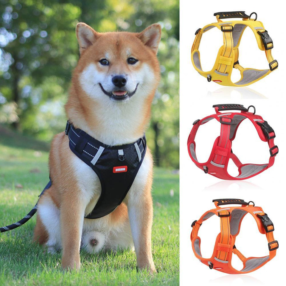 Small Large Dog Outdoor Running Dogs Training Accessories