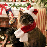 Christmas Cat Hat and Scarf Set Dog Puppy Christmas Clothes Costumes Xmas Santa Pet Costume New Year Santa Red Set