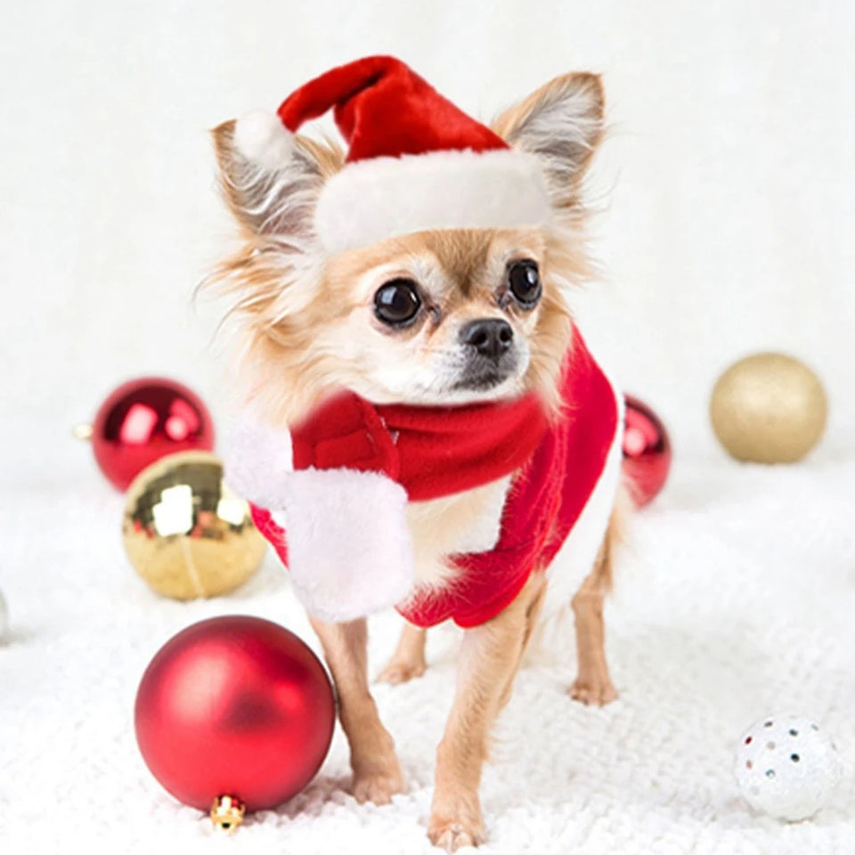 Christmas Cat Hat and Scarf Set Dog Puppy Christmas Clothes Costumes Xmas Santa Pet Costume New Year Santa Red Set