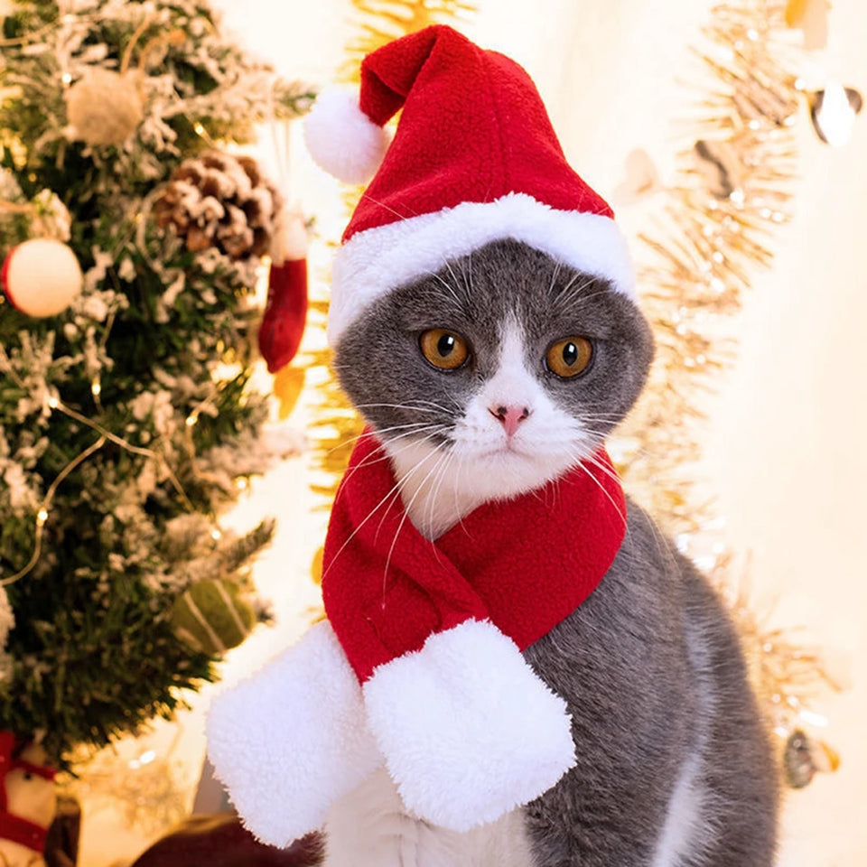 Christmas Cat Hat and Scarf Set Dog Puppy Christmas Clothes Costumes Xmas Santa Pet Costume New Year Santa Red Set